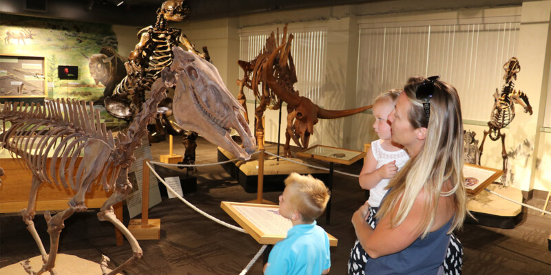 image: family looking at dinosuar bones
