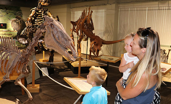 A mother and her kids look at an exhibit at the Museum of Natural History in Pocatello.