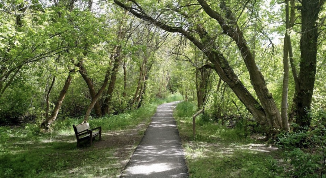 A tree-lined walking and biking path in Pocatello.
